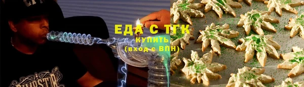 ECSTASY Бородино